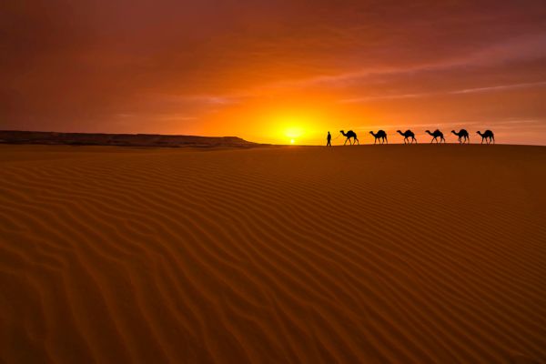 4-Day Desert Tour from Fes, Escape the ancient walls of Fes and venture into the soul of the Sahara. This 4-day tour is an immersion into