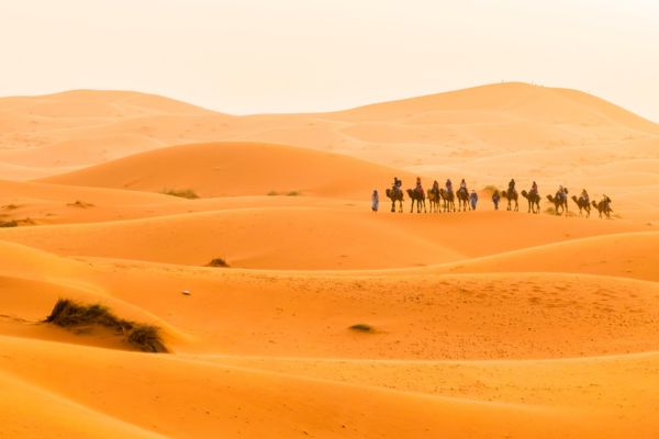 4-Day Desert Tour from Marrakech, Go on a captivating 4-day journey through the soul of Morocco. This immersive adventure
