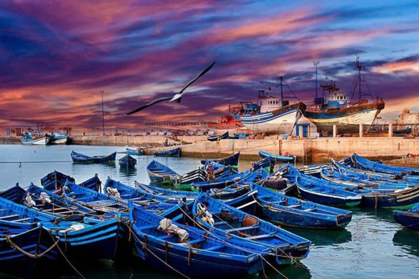 Day trip to Essaouira, Your day trip commences upon arrival in Essaouira with a comprehensive guided tour led by a local specialist.