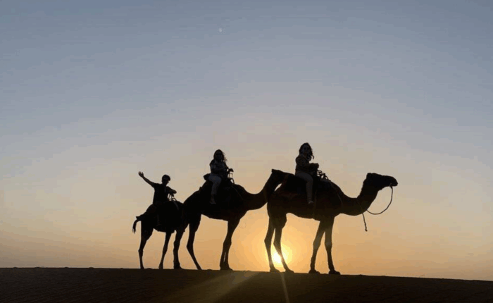 Merzouga Night camel with Sunset