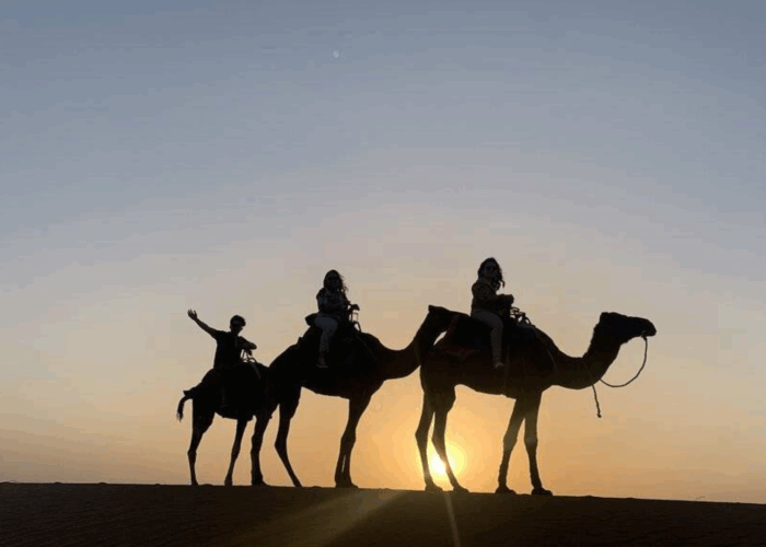 Merzouga Night camel with Sunset