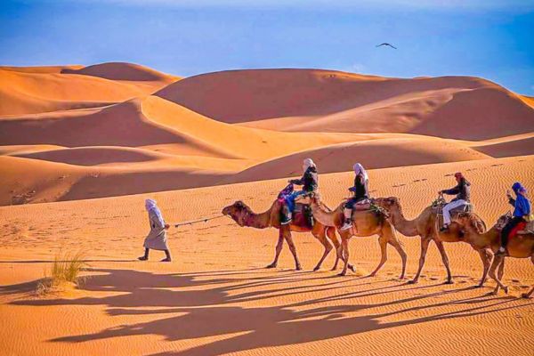 Merzouga Night camel with Sunset, Your unforgettable desert journey begins in the afternoon from Merzouga.