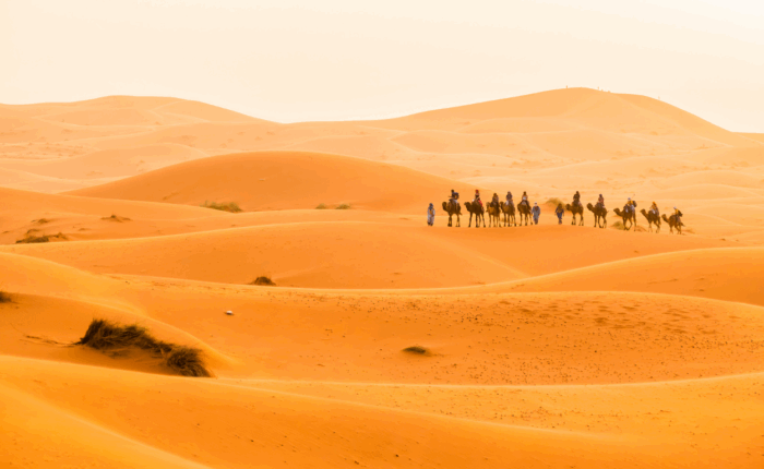 4-Day Desert Tour from Marrakech