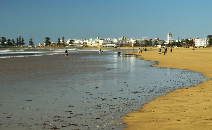 Day trip to Essaouira