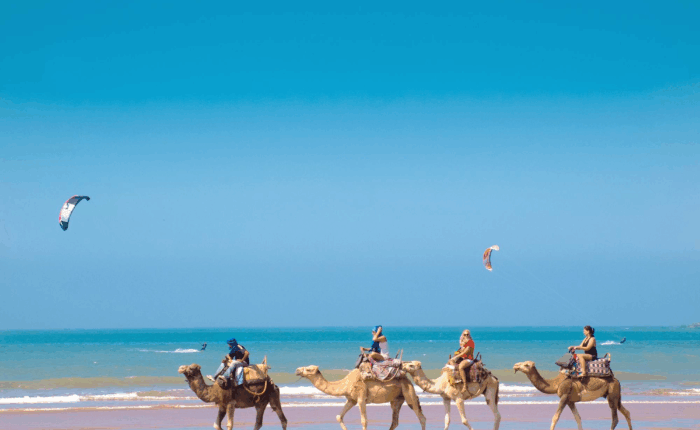 12-Day Desert Tour from Casablanca