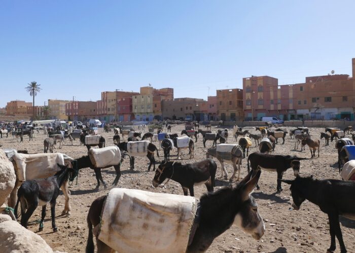 3-Day Tour from Errachidia To Marrakech