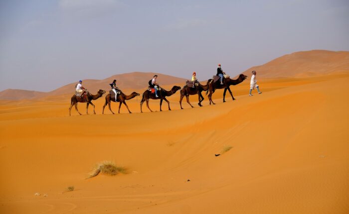 8-Day Desert Tour from Tangier