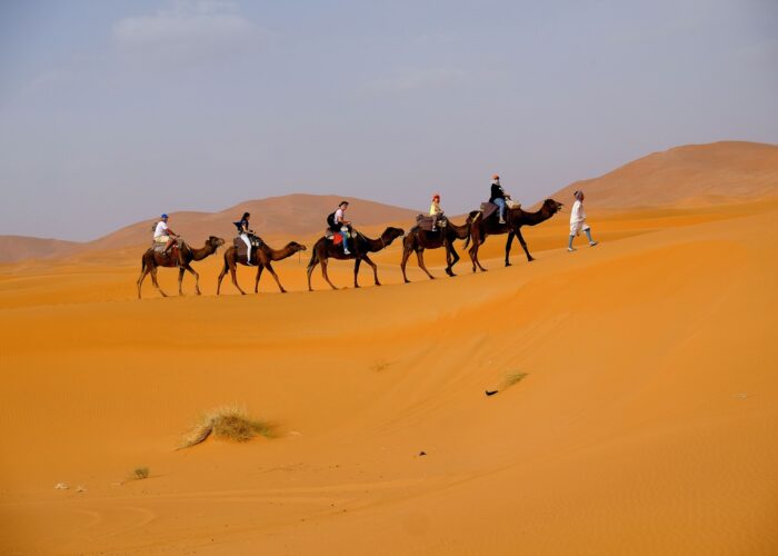 8-Day Desert Tour from Tangier
