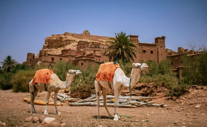 6-Day Tour from Agadir to Erg Chegaga