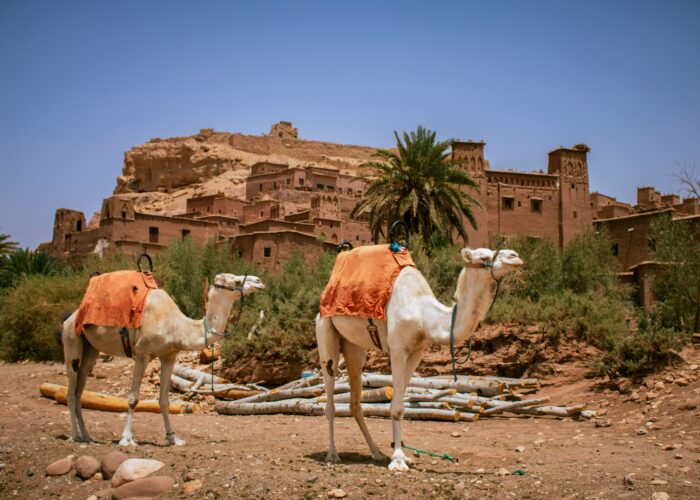 6-Day Tour from Agadir to Erg Chegaga